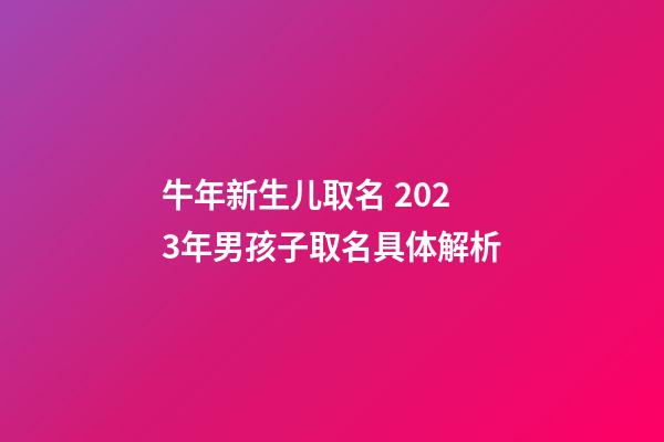 牛年新生儿取名 2023年男孩子取名具体解析